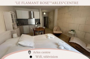 Le flamant rose Arles centre